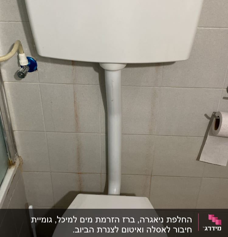 אסלה עם מיכל הדחה ומברשת ניקוי